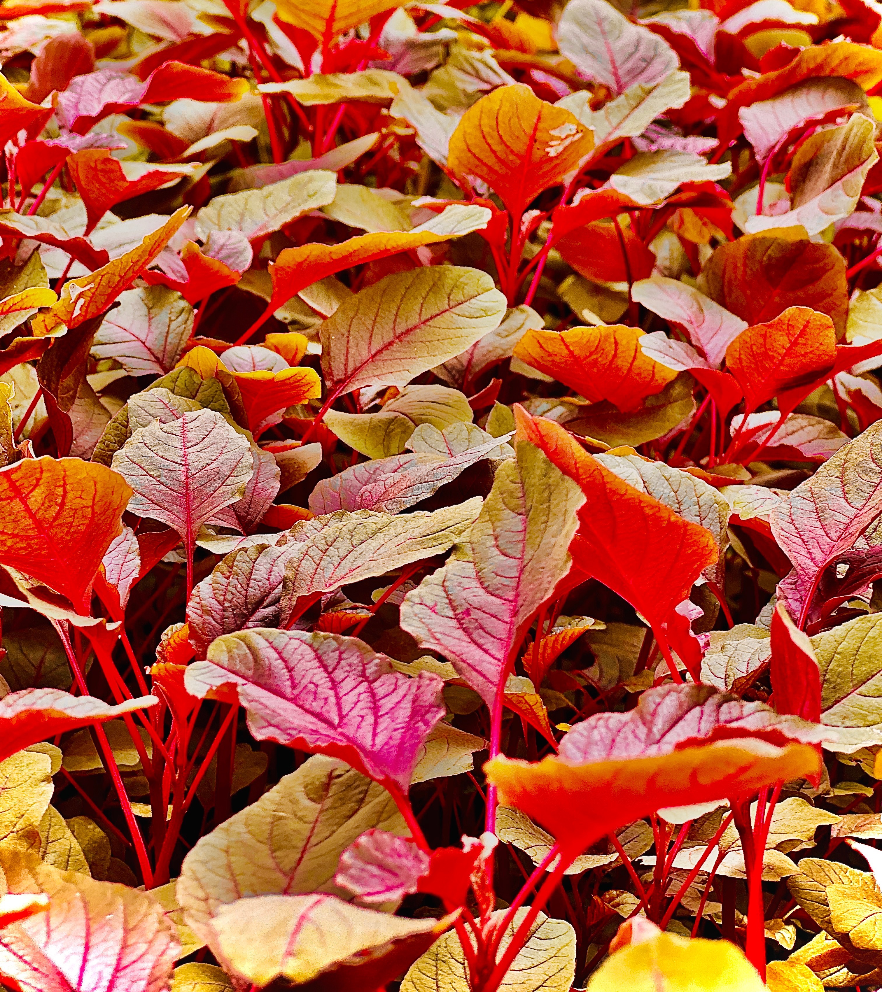 Main Banner Image 1
